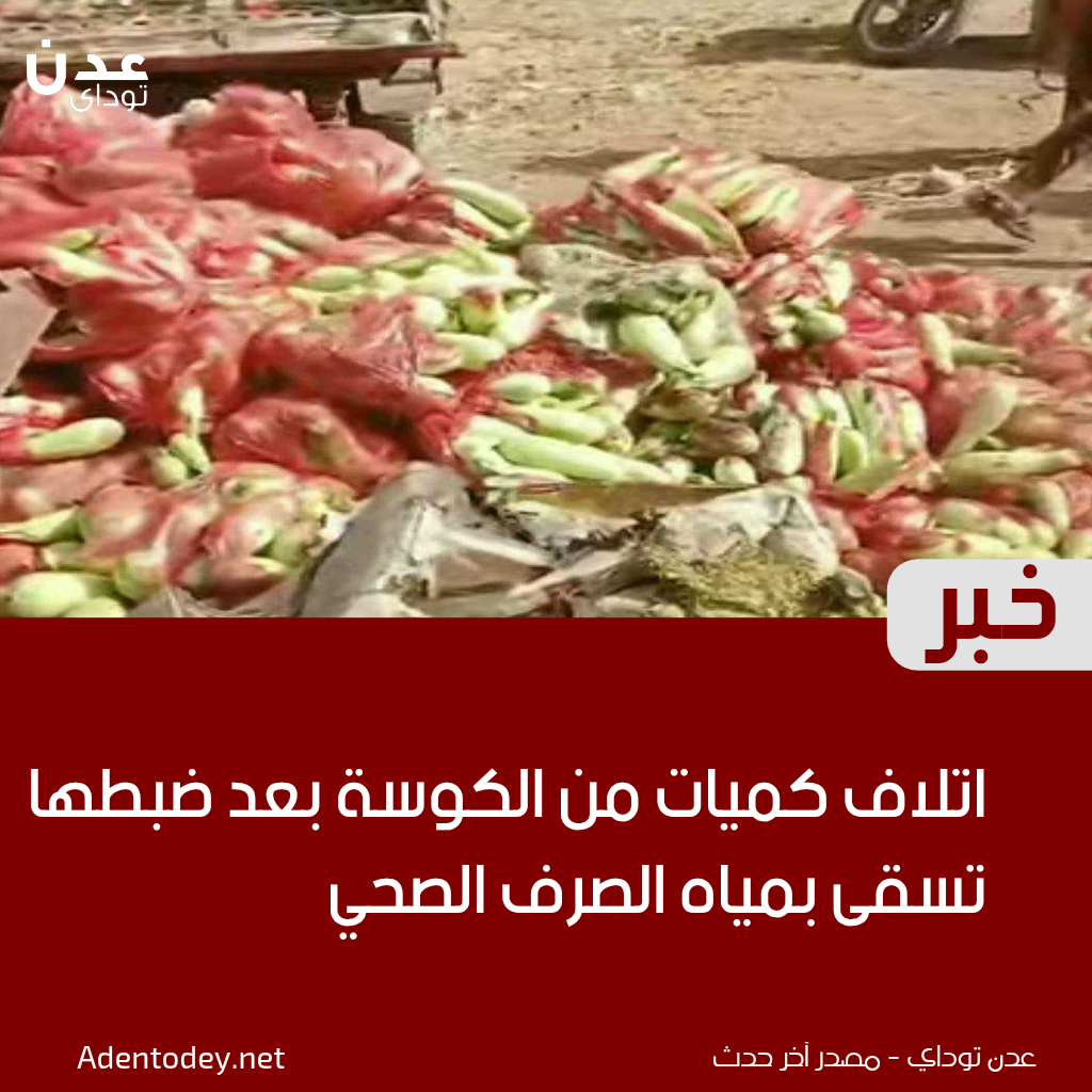 اتلاف كميات من الكوسة بعد ضبطها تُسقى بمياه الصرف الصحي